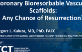 Coronary Bioresorbable Vascular Scaffolds: Any Chance of Resurrection?