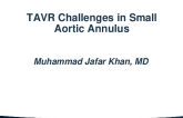 TAVI : Challenges in Patient With Small Aortic Annulus