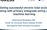 Predicting Successful Chronic Total Occlusion Crossing With Primary Antegrade Wiring Using Machine Learning