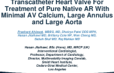 Transcatheter Heart Valve for Treatment of Pure Native AR With Minimal AV Calcium, Large Annulus and Large Aorta