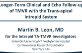 Longer-Term Clinical and Echocardiography Follow-up of Transcatheter Mitral Valve Replacement with the Trans-apical Intrepid System