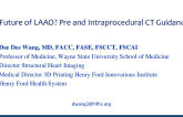 The Future of LAAO? Pre and Intraprocedural CT Guidance