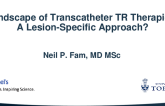 Landscape of Transcatheter TR Therapies: A Lesion-Specific Approach?