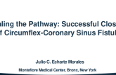 TCT 828: Sealing the Pathway: Successful Closure of Circumflex-Coronary Sinus Fistula