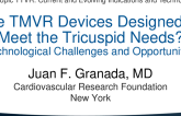 Are TMVR Devices Designed to Meet the Tricuspid Needs? – Technological Challenges and Opportunities for Innovation