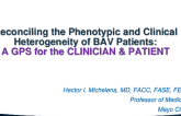 Reconciling the Phenotypic and Clinical Heterogeneity of BAV Patients: GPS for the Clinician and Patient