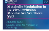 Metabolic Modulation in Ex-Vivo Perfusion Models: Are We There Yet?
