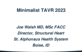 Minimalist TAVR in 2023: Practical Tips and Tricks for a Safer, Less Invasive Procedure