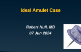 Case Presentation 1: Ideal Amulet Case