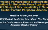TCT 566: Tyrosine Polycarbonate Bioresorbable Scaffold for Below-the Knee Application: Pilot Study of Biocompatibility in Small Caliber Porcine Peripheral Arteries