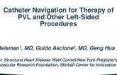 Navigation for Therapy of PVL and Other Left-Sided Procedures with Discussion