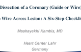 Dissection of a Coronary (Guide or Wire) No Wire Across Lesion: A Six-Step Checklist?