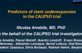 TCT 509: Predictors of Stent Under Expansion in the CALIPSO Trial