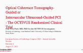 Optical Coherence Tomography-Guided or Intravascular Ultrasound-Guided PCI: The OCTIVUS Randomized Clinical Trial