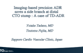 Imaging-based precision ADR saves a side branch at distal CTO stump : A case of TD-ADR